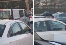 Karganın İstanbul trafiği ile imtihanı!