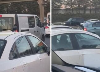 Karganın İstanbul trafiği ile imtihanı!