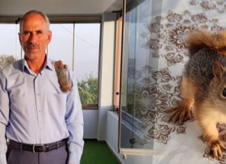Muhtar ve yavru sincap Poyraz’ın kıskandıran dostluğu
