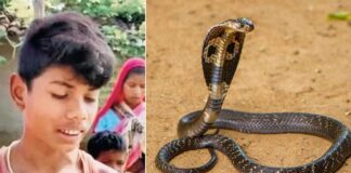‘İnsan köpeği ısırırsa haber olur’ misali kobrayı ısırarak öldürdü!