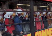 📽️Paris’te aktivistler, tavuklara verilen eziyeti protesto için tavuk maskeleriyle Burger King’i bastı!