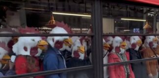 📽️Paris’te aktivistler, tavuklara verilen eziyeti protesto için tavuk maskeleriyle Burger King’i bastı!