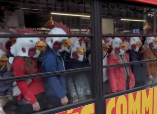 📽️Paris’te aktivistler, tavuklara verilen eziyeti protesto için tavuk maskeleriyle Burger King’i bastı!