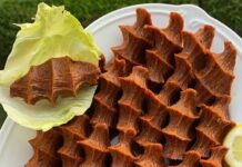 Bir çiğ köftemiz vardı, onda da Salmonella bakterisine rastlandı!