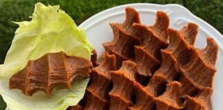 Bir çiğ köftemiz vardı, onda da Salmonella bakterisine rastlandı!