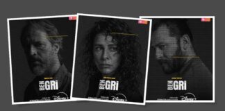 Disney Plus / Dizi / Ben Gri / Canberk TURAN