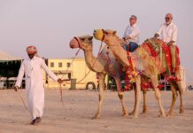 ‘Yok Devenin Başı’ dense yeridir; DSÖ uzmanları Deve Gribine karşı uyardı!