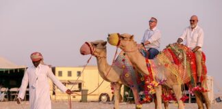 ‘Yok Devenin Başı’ dense yeridir; DSÖ uzmanları Deve Gribine karşı uyardı!