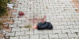 Tam bir trajedi, tam bir vahşet! 15 yaşındaki çocuk doğum yaptı, aile bebeği 5’inci kattan attı