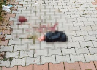 Tam bir trajedi, tam bir vahşet! 15 yaşındaki çocuk doğum yaptı, aile bebeği 5’inci kattan attı