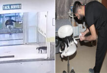 Kedi ‘Davşo’, kırık için Bitlis devlet hastanesine gitti, tedavisini yaptırdı, kontrollerini de ihmal etmedi!