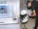 Kedi ‘Davşo’, kırık için Bitlis devlet hastanesine gitti, tedavisini yaptırdı, kontrollerini de ihmal etmedi!