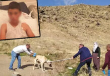 Mustafa’dan acı haber; Yaşamını yitirdi