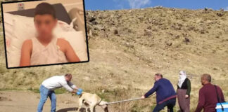 Mustafa’dan acı haber; Yaşamını yitirdi