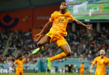 ABD’yi deviren Hollanda çeyrek finalde!