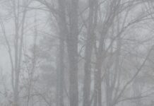 Hafta sonu: Yağmur havası, kar kaçamağı!