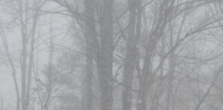 Hafta sonu: Yağmur havası, kar kaçamağı!