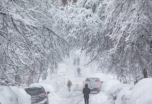 Kuzey Amerika: -40 ila -56 Derece; 5 Dakikada Öldürüyor!