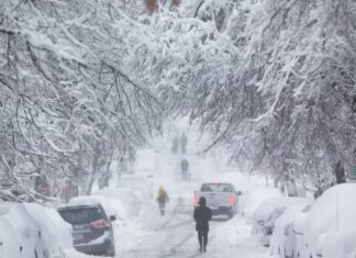 Kuzey Amerika: -40 ila -56 Derece; 5 Dakikada Öldürüyor!