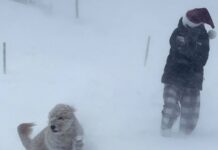 📽️ ABD’de kar fırtınası ölümcül olmaya devam ediyor; 39 ölü…