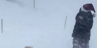 📽️ ABD’de kar fırtınası ölümcül olmaya devam ediyor; 39 ölü…