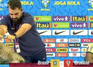 📽️Vinicius Jr’ın basın toplantısında, masadaki kediye yere fırlattı, pişkin pişkin güldü!