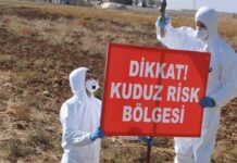 Adıyaman’da kuduz paniği; 3 köy karantinaya alındı