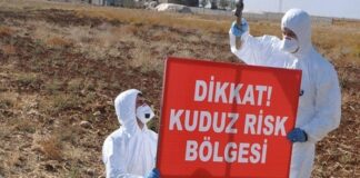 Adıyaman’da kuduz paniği; 3 köy karantinaya alındı