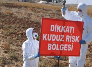 Adıyaman’da kuduz paniği; 3 köy karantinaya alındı