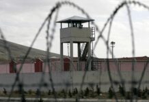 Cezaevleri doldu taştı; Kapasite 286 bin 797, tutuklu ve hükümlü sayısı 336 bin 315