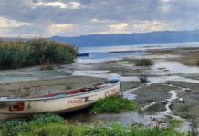 Türkiye’de son 52 yılın en sıcak aralık ayı!