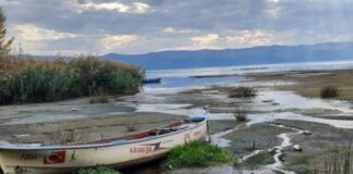 Türkiye’de son 52 yılın en sıcak aralık ayı!