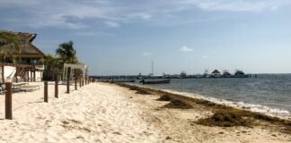 Meksika’da kamusal alanlarda tütün ürünleri kullanımı yasaklandı; alanlar park ve sahilleri de kapsıyor.