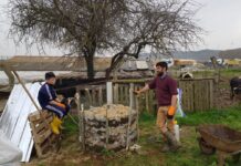 Nesin Vakfı’nın banka hesabındaki yaklaşık 2 milyon TL’ye el konuldu.