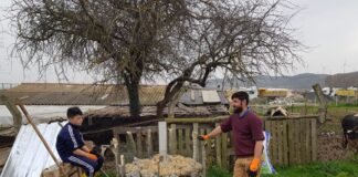 Nesin Vakfı’nın banka hesabındaki yaklaşık 2 milyon TL’ye el konuldu.