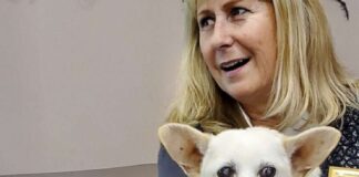 Taht ve taç el değiştirdi : Yaşayan en yaşlı köpek unvanı Gino’dan Spike’a geçti!