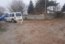 Emekli jandarma asker, eşini ve 1 oğlunu öldürdü birini de yaraladı