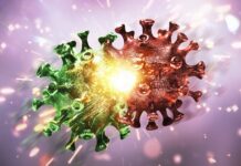 Bilim insanlarından endişeli açıklama: Covit-19 varyantı “Kraken” çok daha bulaşıcı. Belirtileri ise…