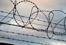 340 bini geçti, kapasiteyi aştı. Tutuklu ve hükümlü sayısında büyük artış