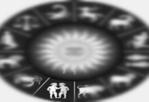 Güner YÖNEL; 2023, Burçlar / İkizler & Yükselen İkizler