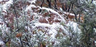 📽️İstanbul’da kar taneleri!