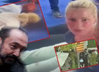 📽️Görüntüler ilk kez ortaya çıktı: Kedicikler böyle gözaltına alınmış