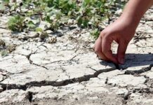 Bitlis’te 3 içme suyu kaynağı kuraklık nedeniyle kurudu!