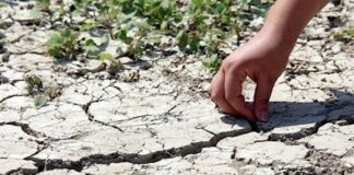 Bitlis’te 3 içme suyu kaynağı kuraklık nedeniyle kurudu!