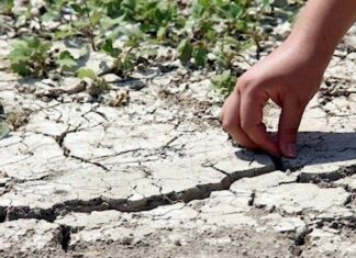 Bitlis’te 3 içme suyu kaynağı kuraklık nedeniyle kurudu!