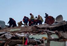 Avusturya ordusu deprem arama-kurtarma çalışmalarını durdurdu