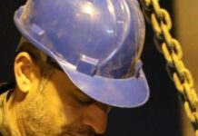 Diyarbakır’da, Galeria İş Merkezi’nde mahsur kalan kedi Zena kurtarıldı!