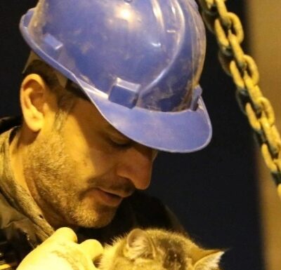 Diyarbakır’da, Galeria İş Merkezi’nde mahsur kalan kedi Zena kurtarıldı!
