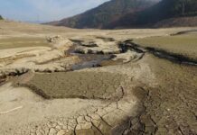 Bursa’nın içme suyu kaynağı Nilüfer Barajı’nda su sıfırlandı!