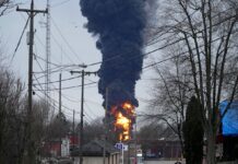 ABD’de kimyasal madde yüklü trenin karıştığı kazada 43 binden fazla su canlısı öldü